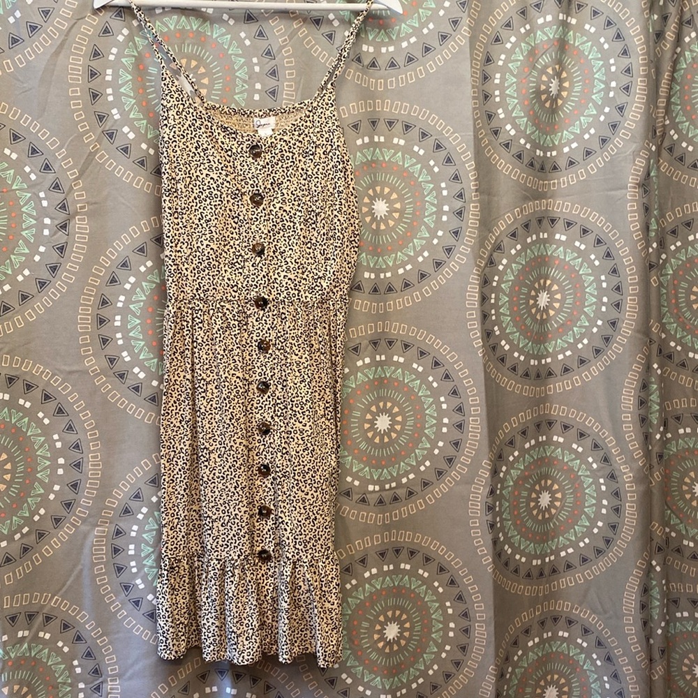 Japna Cheetah Print Dress